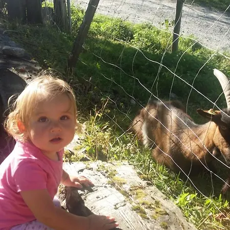 Kamp alanı Mobilheim Seezauber Uttendorf