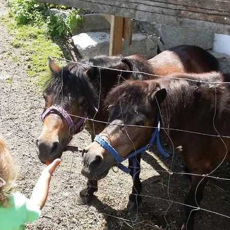 Mobilheim Seezauber Uttendorf