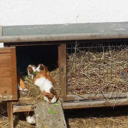 Campsite Mobilheim Seezauber Uttendorf