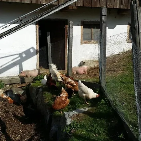 Mobilheim Seezauber Kamp alanı *