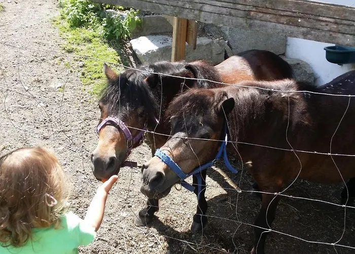 Mobilheim Seezauber Uttendorf